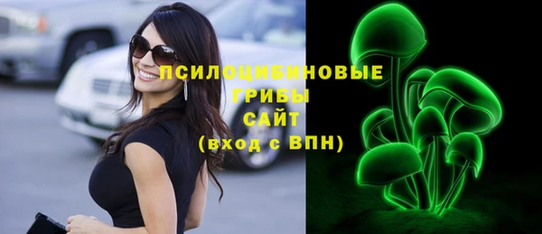 мет Алексин