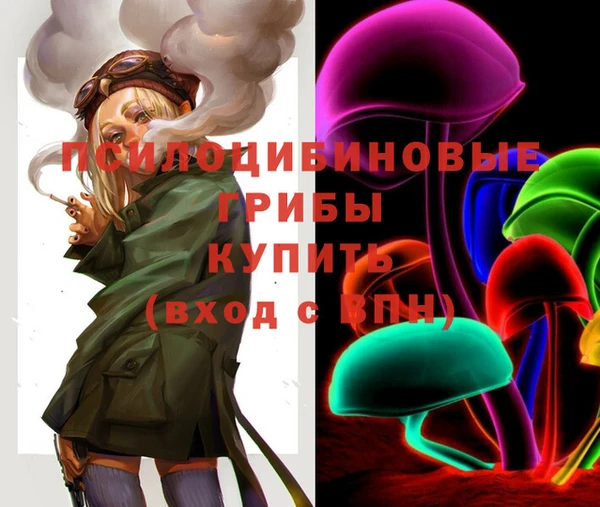 мет Алексин